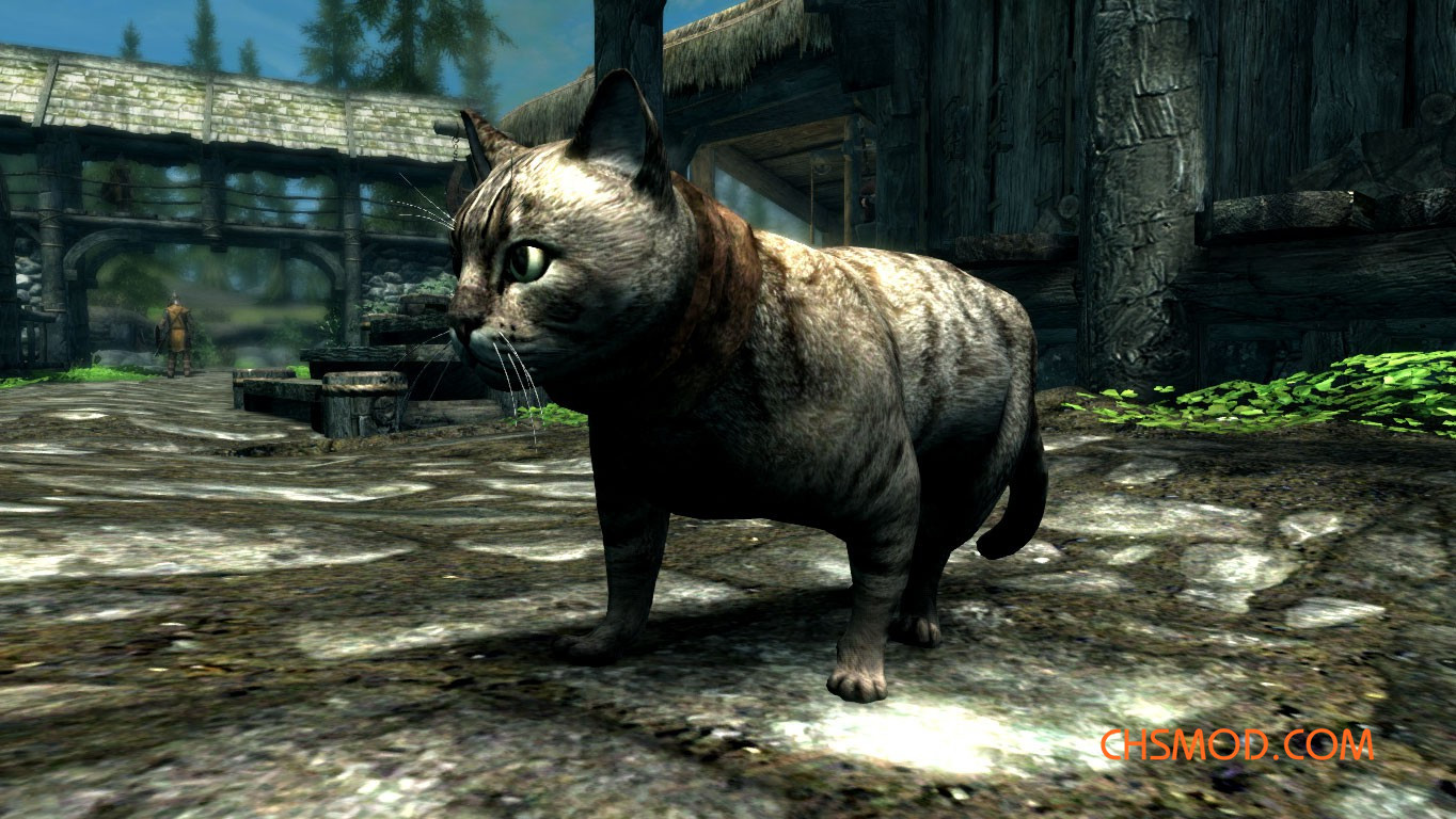 《上古卷轴5：天际重制版》家猫MOD