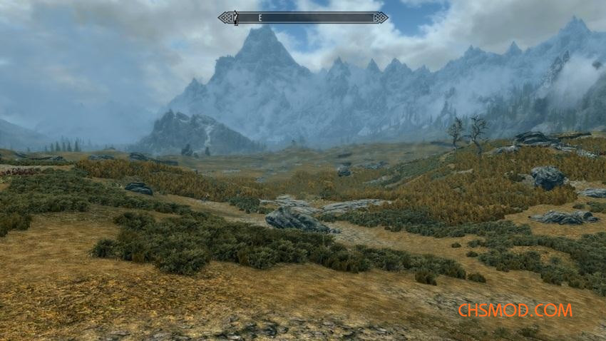 《上古卷轴5：天际重制版》草地纹理修改MOD