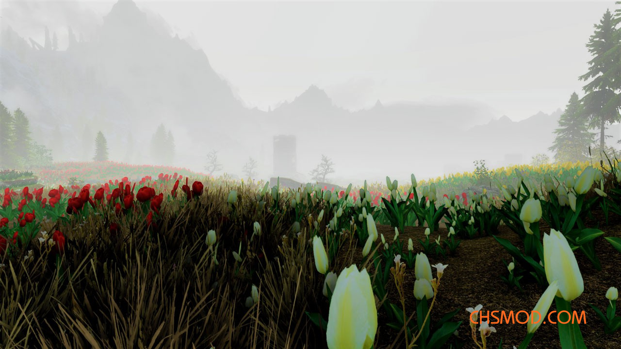 《上古卷轴5：天际重制版》鲜花地MOD