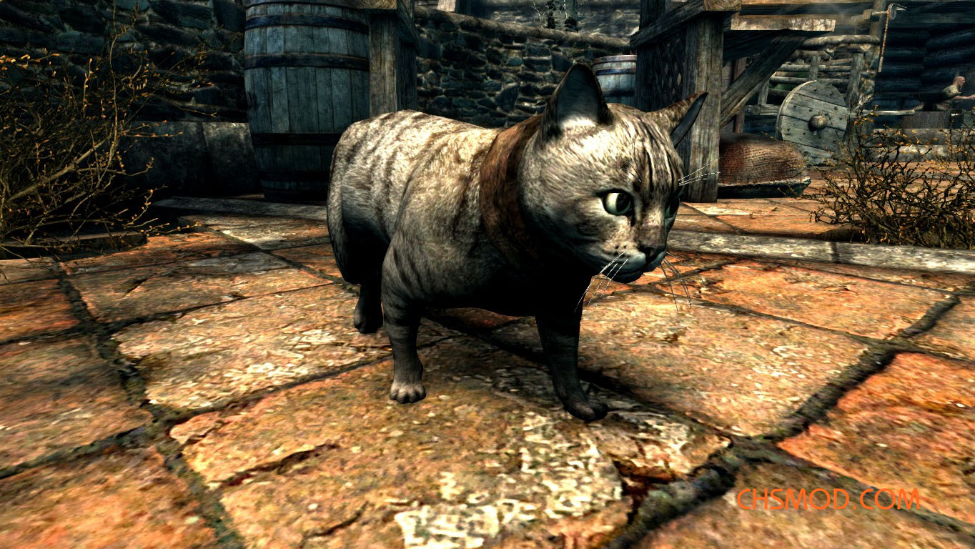 《上古卷轴5：天际重制版》家猫MOD