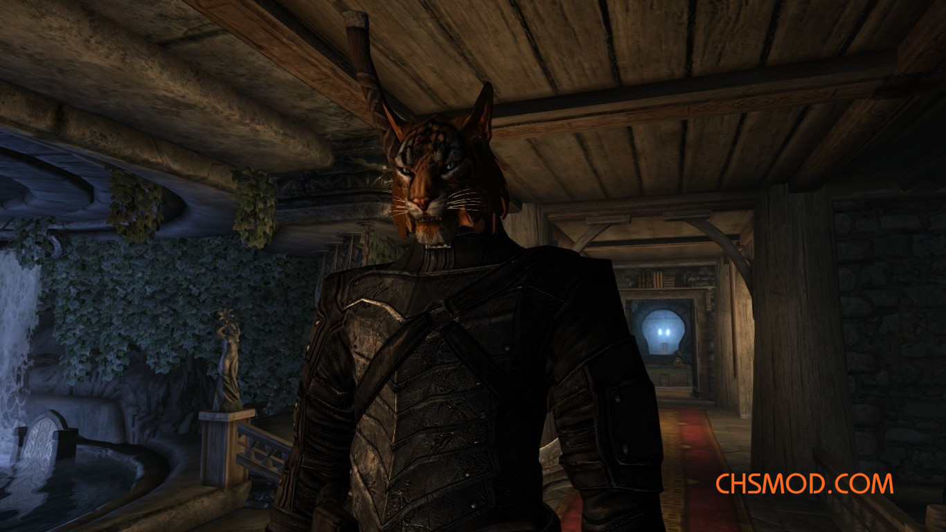 《上古卷轴5：天际重制版》亚种猫人追随者MOD v1.0