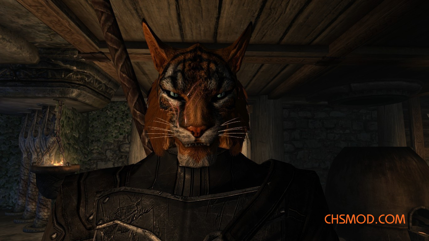 《上古卷轴5：天际重制版》亚种猫人追随者MOD v1.0