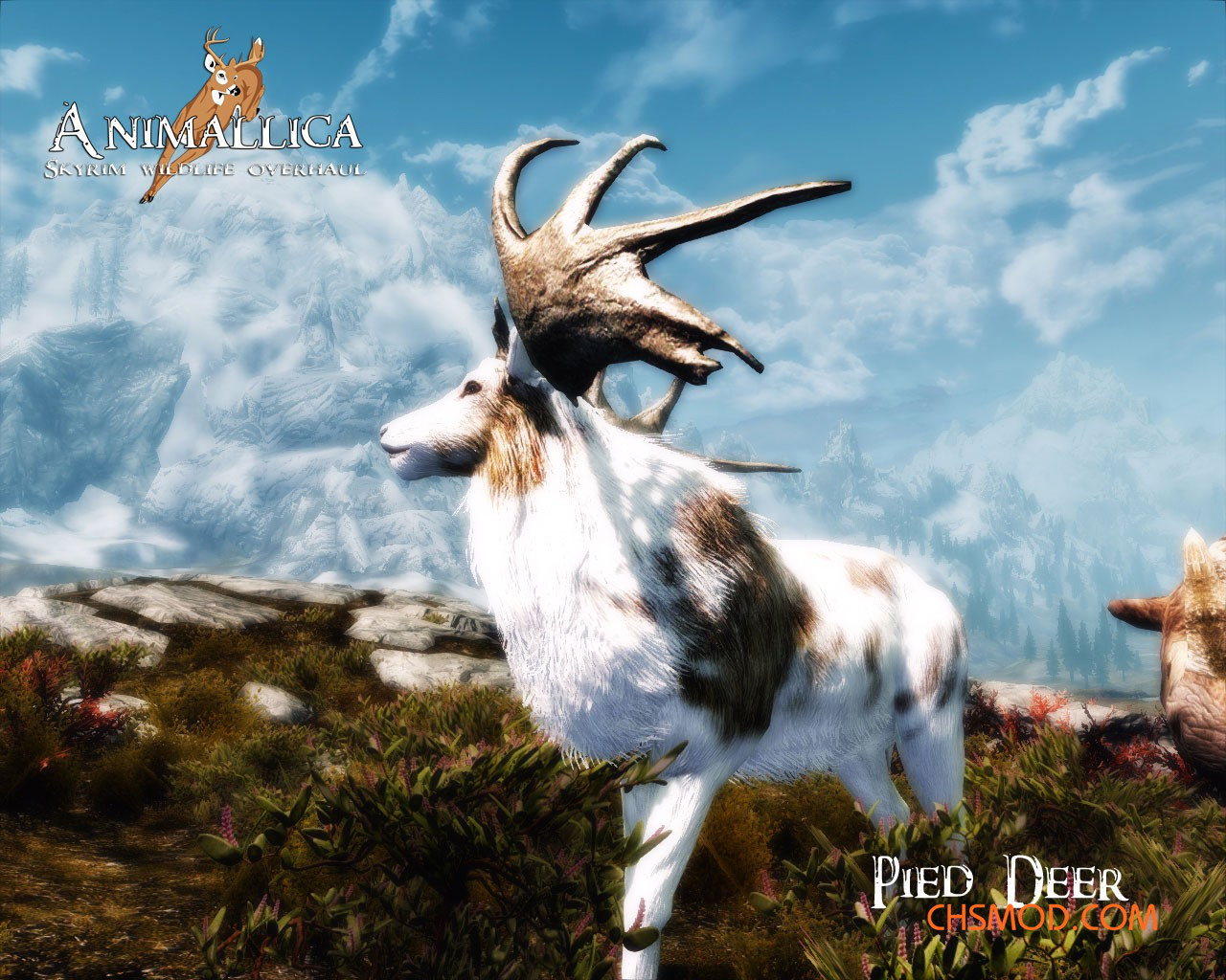 《上古卷轴5：天际重制版》Animallica-天际野生动物大补MOD