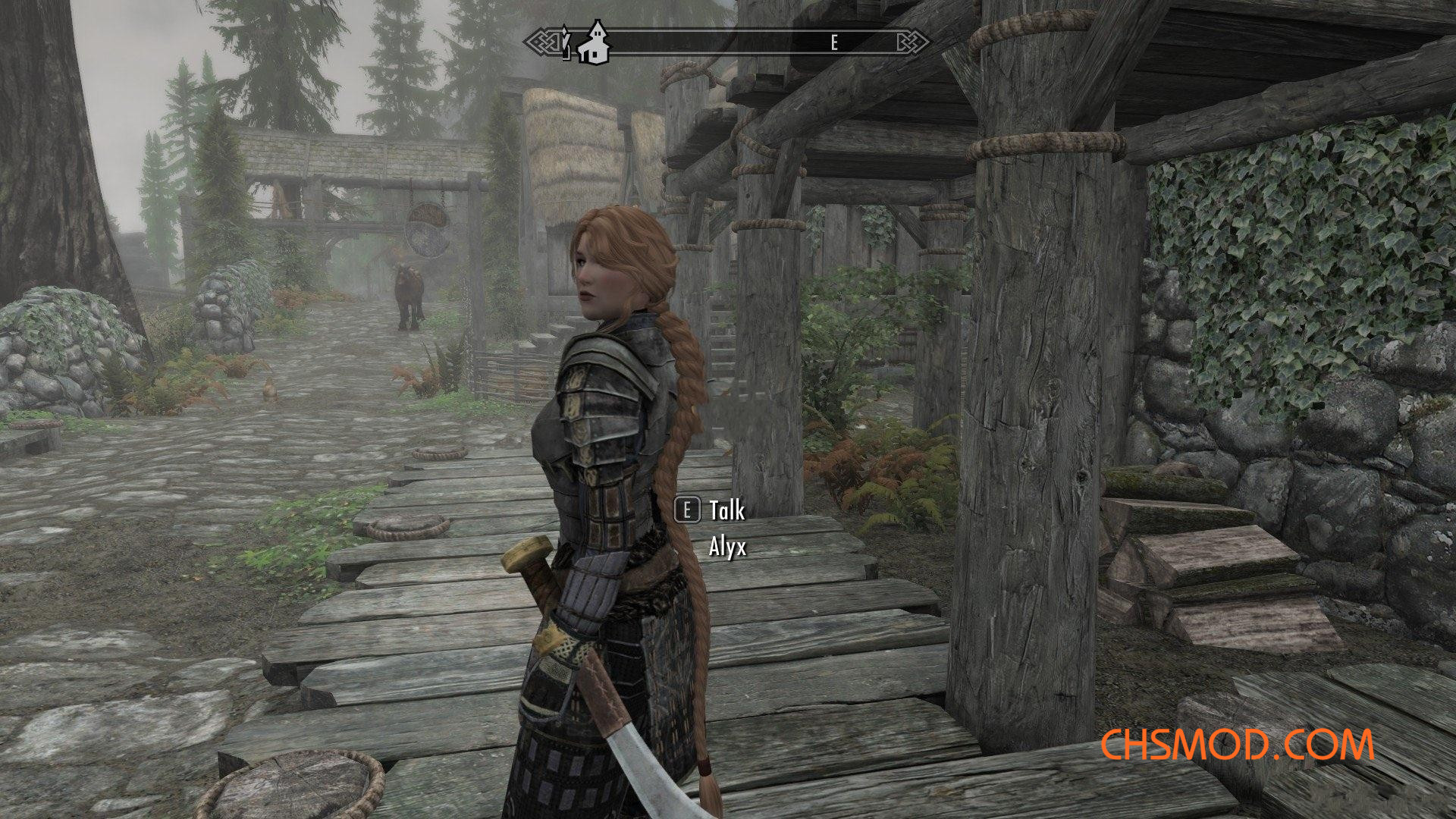 《上古卷轴5：天际重制版》Alyx女性随从MOD