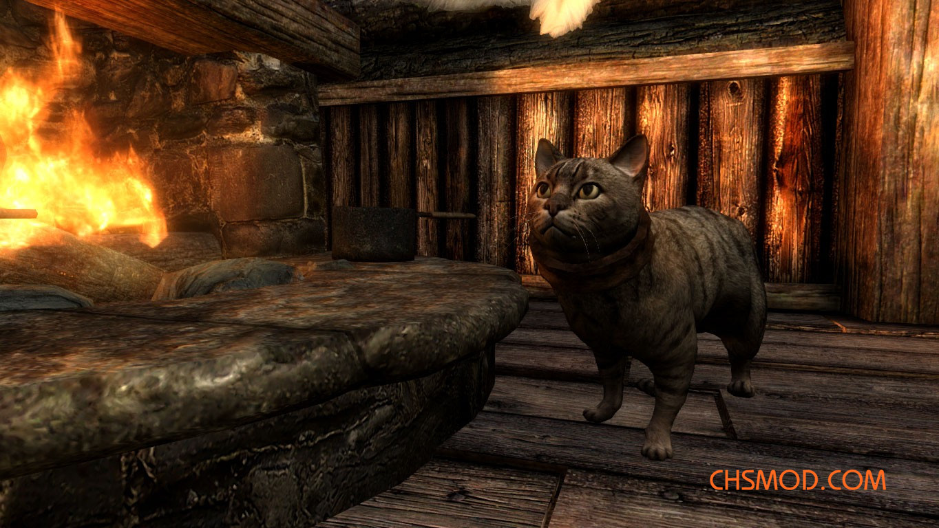 《上古卷轴5：天际重制版》家猫MOD