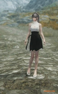 《上古卷轴5：天际重制版》漂亮的女性闲置扩展SE MOD