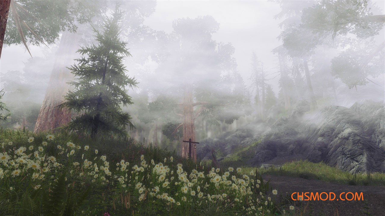 《上古卷轴5：天际重制版》鲜花地MOD