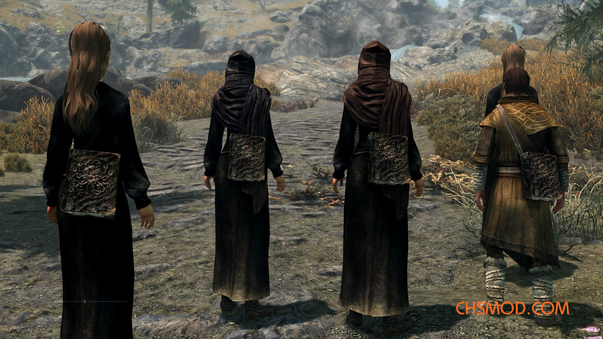 《上古卷轴5：天际重制版》NPC的黑皮书MOD