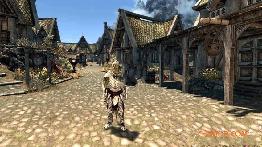 《上古卷轴5：天际重制版》远古的法尔默盔甲MOD