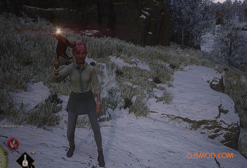 《霍格沃茨之遗》猫咪魔杖MOD