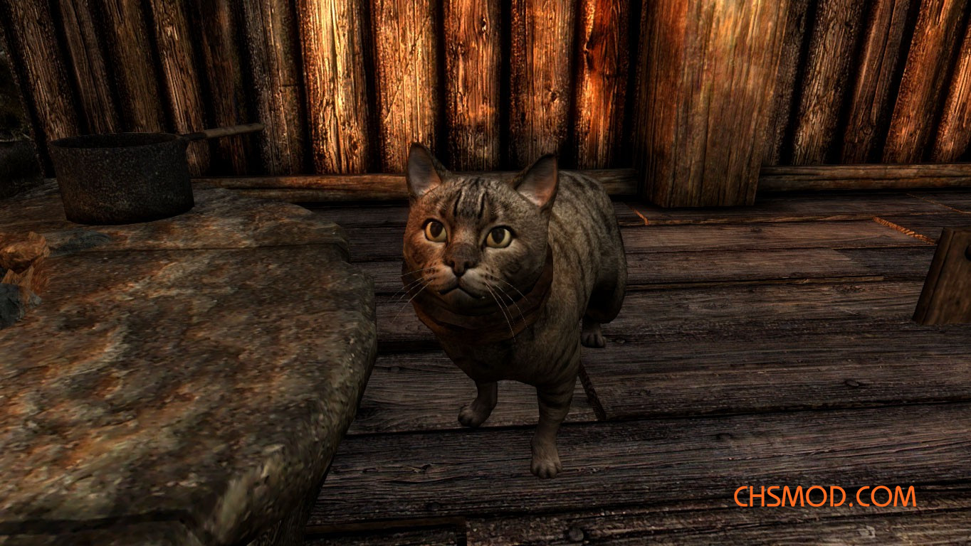 《上古卷轴5：天际重制版》家猫MOD