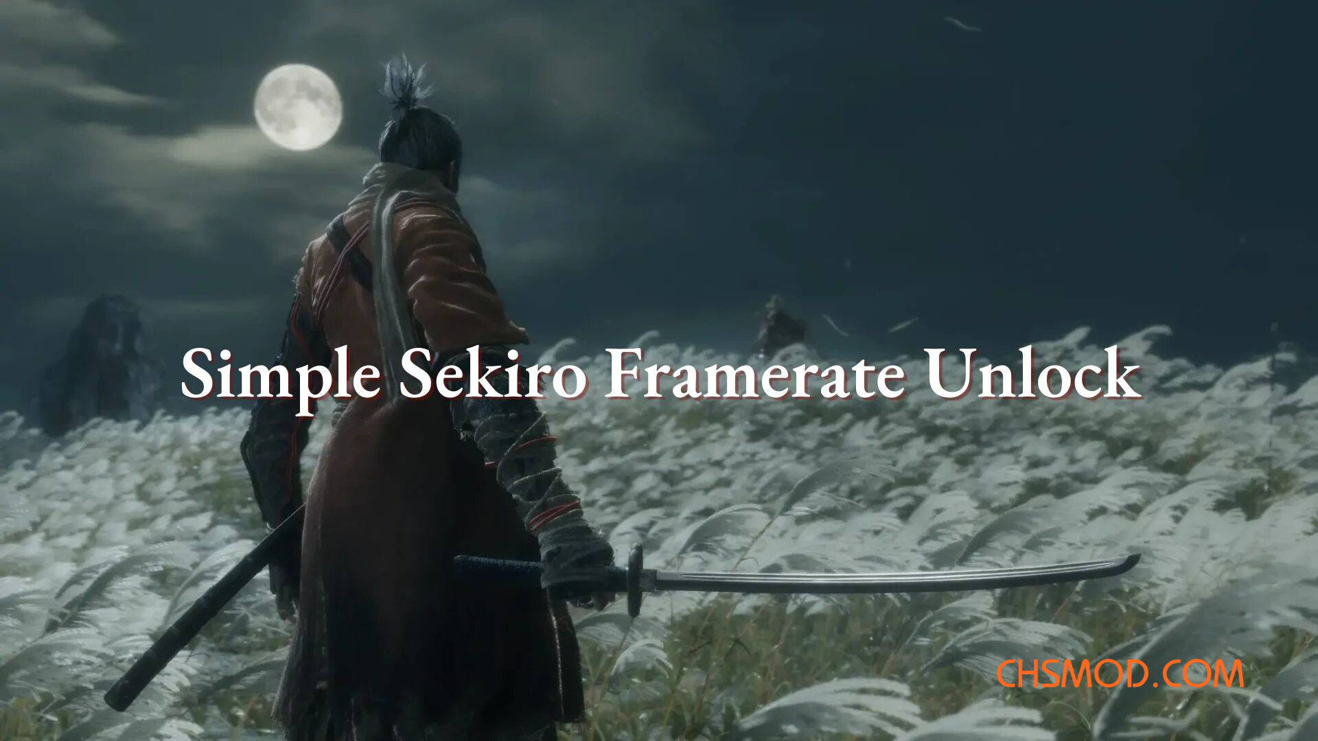 《只狼：影逝二度》简单的帧率解锁MOD