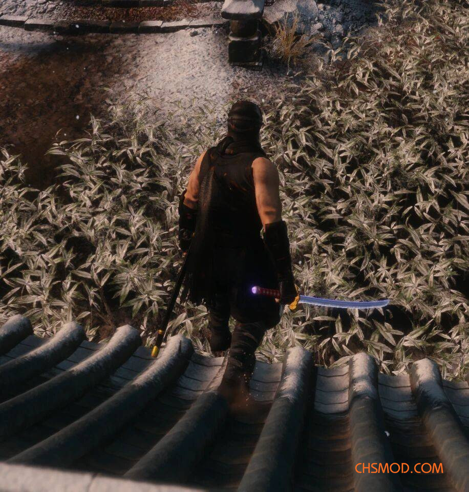 《只狼：影逝二度》忍者龙剑传隼龙替换狼MOD