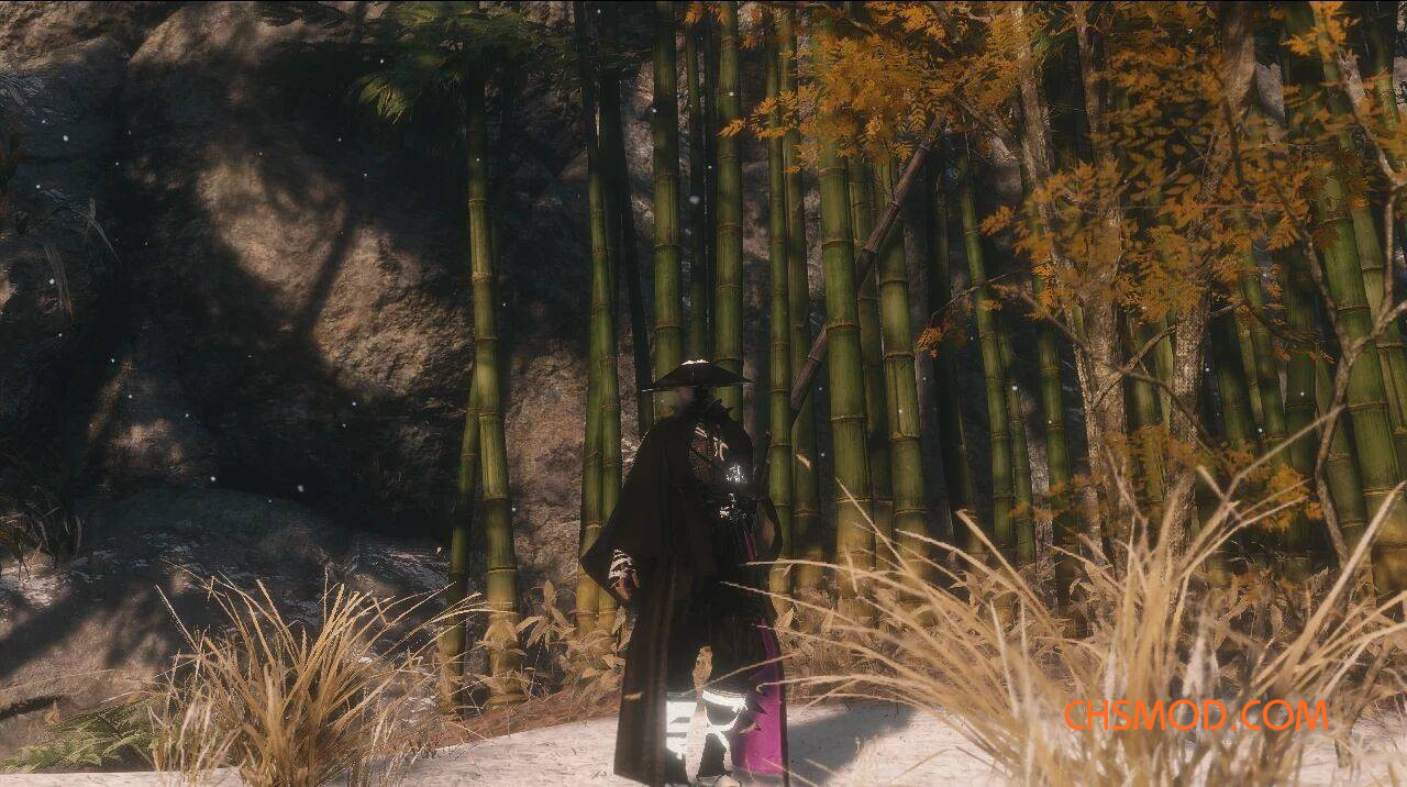 《只狼：影逝二度》狼的苇名杀手服装MOD