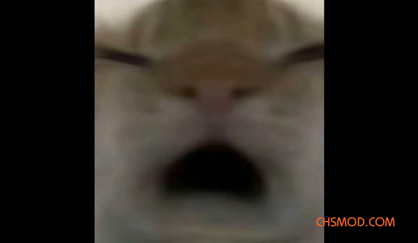 《逃离鸭科夫》后刷机制MOD