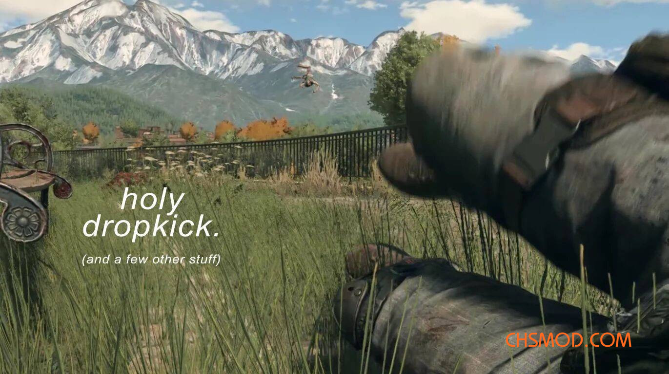 《消逝的光芒：困兽》更好的踢击MOD