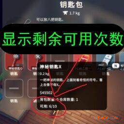 《逃离鸭科夫》显示物品可用次数MOD